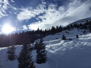 Bild: 